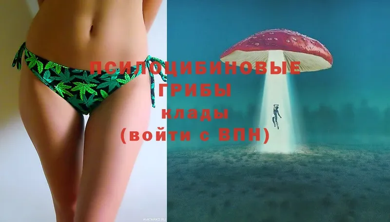 Галлюциногенные грибы Magic Shrooms Анадырь